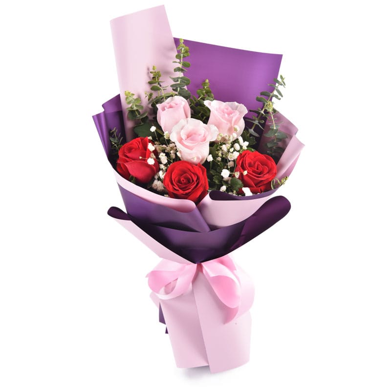 Sweet Rosie - Gift Go Now