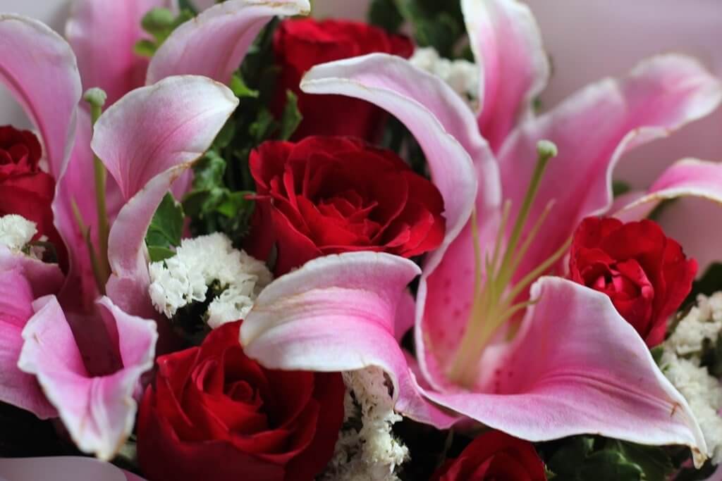 Darling Devotion romantic flower gift for sending to loved ones in the Philippines.
