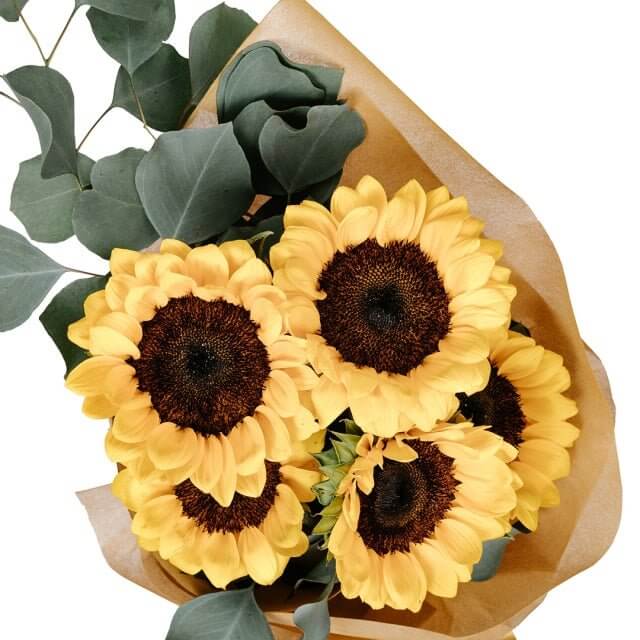 Full Sunflower Bouquet - Gift Go Now