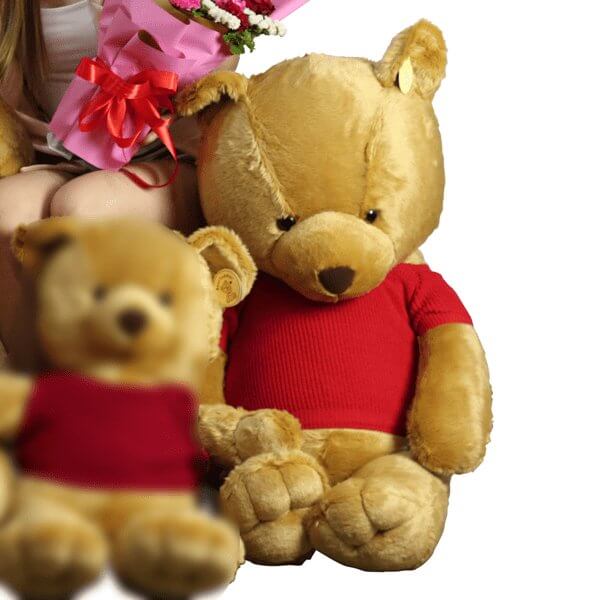 Harry Human Size Teddy teddy bear gift add-on for a thoughtful Philippine delivery.