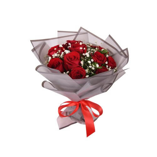 Jamie - Gift Go Now