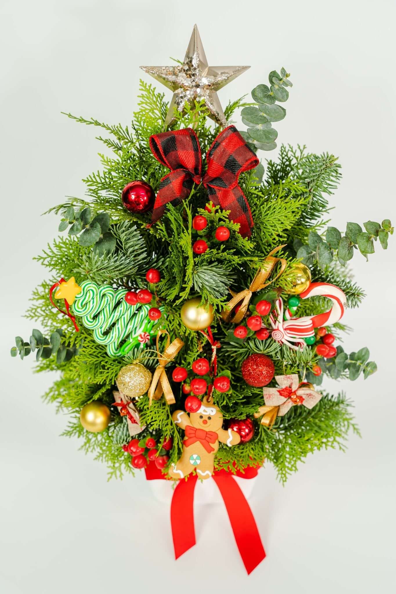 Sparkling Star Splendor - Gift Go Now
