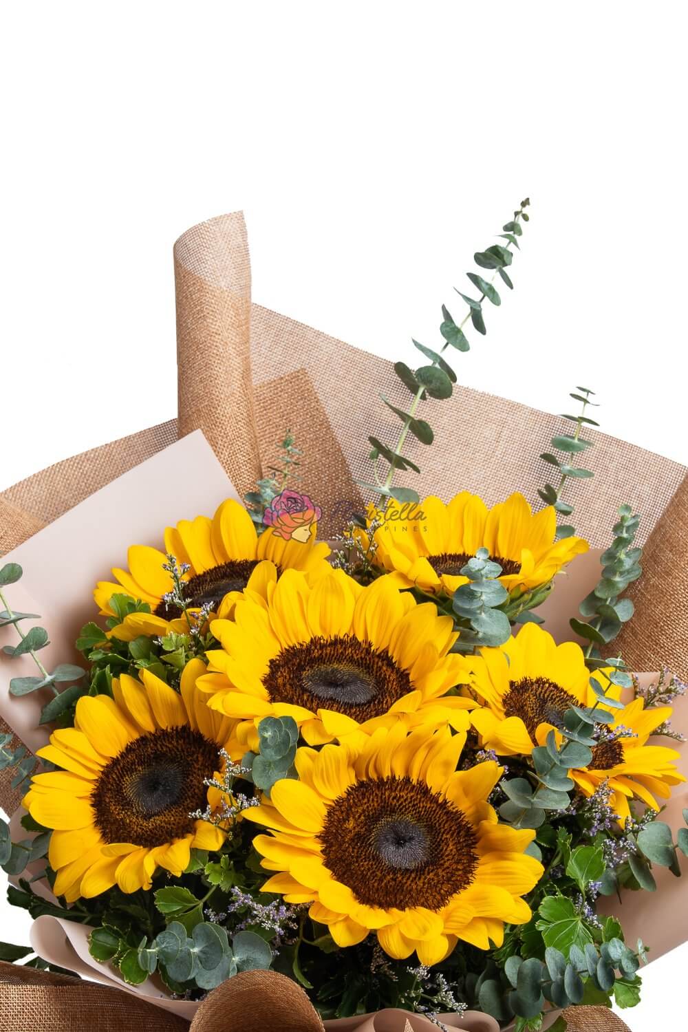 Sunshine Galore - Gift Go Now
