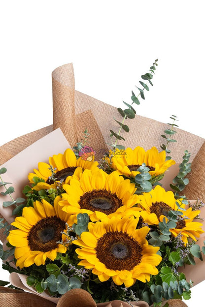 Sunshine Galore - Gift Go Now