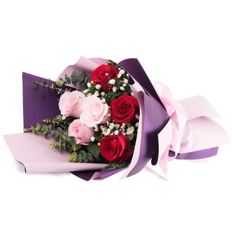 Sweet Rosie - Gift Go Now